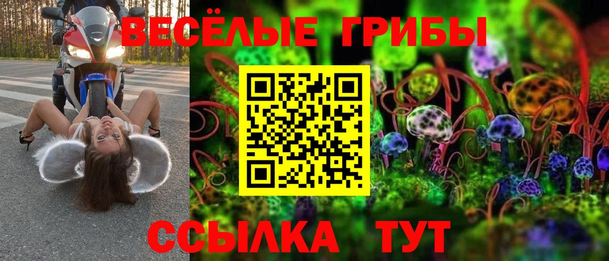 Галлюциногенные грибы Psilocybine cubensis Назрань