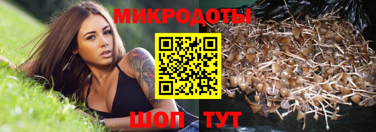 Галлюциногенные грибы мухоморы  Вход с VPN  Галлюциногенные грибы прущие грибы  Назрань 